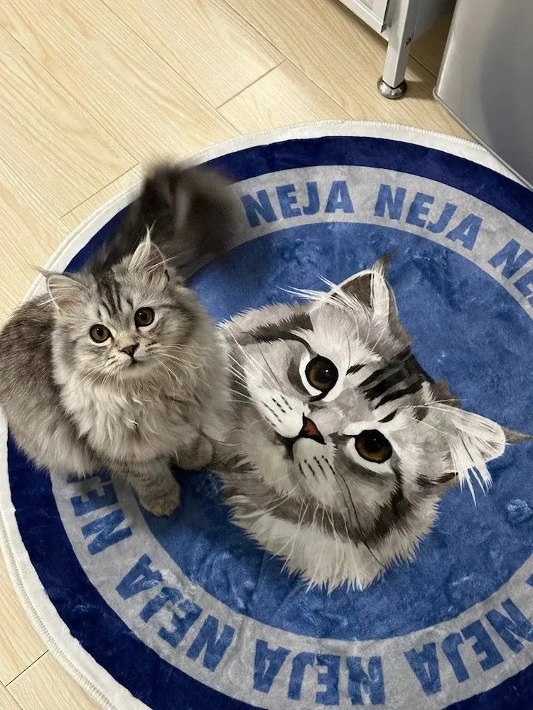 Custom Pet Portrait Carpet Collection