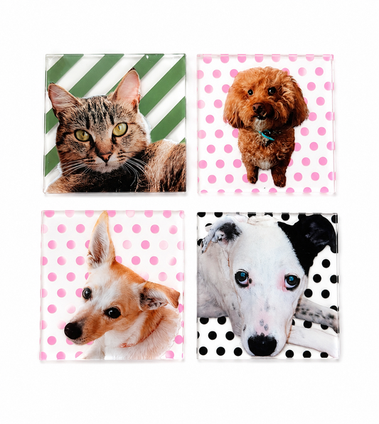Custom Pet Photo Coaster, Personalized Dog & Cat Coaster with Polka Dot Design, Pet Lover Gift