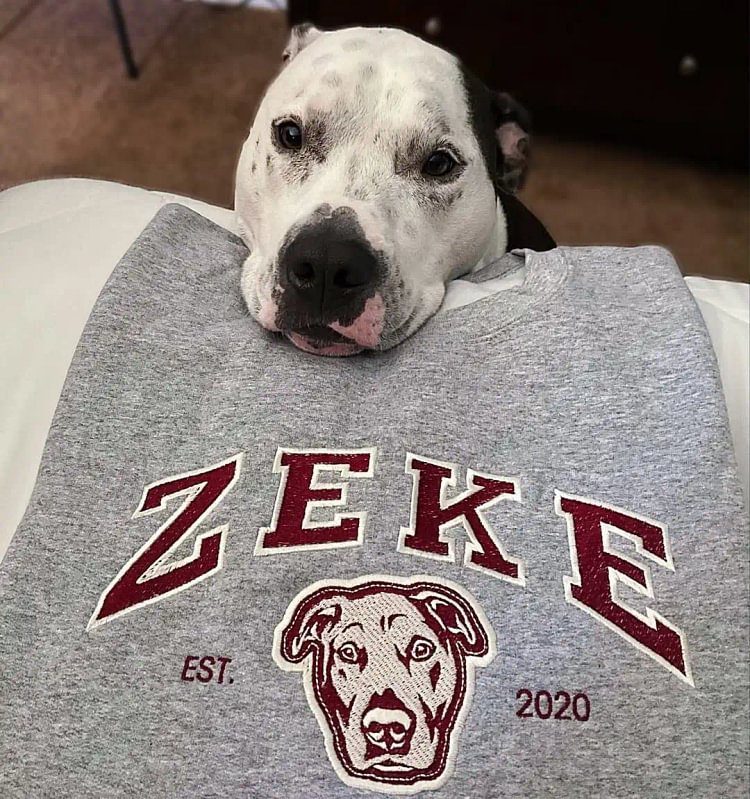 Custom Pet Varsity Style Embroidered Sweatshirt Hoodie T-shirt- Stylish Outline Style