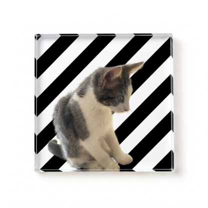 Custom Pet Photo Coaster, Personalized Dog & Cat Coaster with Striped Design, Pet Lover Gift