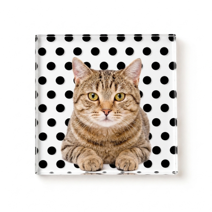 Custom Pet Photo Coaster, Personalized Dog & Cat Coaster with Polka Dot Design, Pet Lover Gift