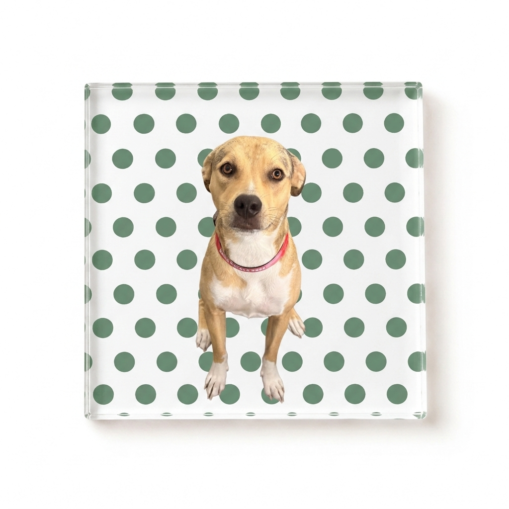 Custom Pet Photo Coaster, Personalized Dog & Cat Coaster with Polka Dot Design, Pet Lover Gift