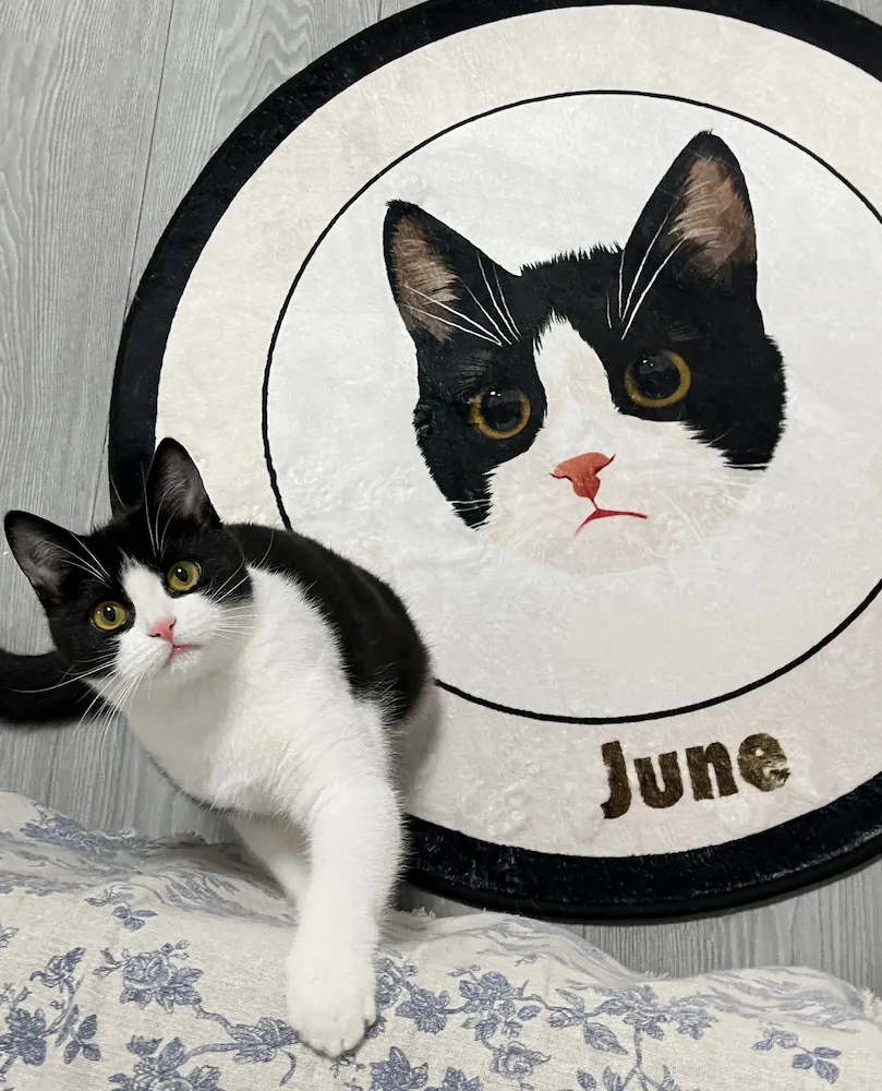 Custom Pet Portrait Carpet Collection