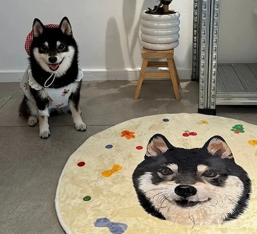 Custom Pet Portrait Carpet Collection