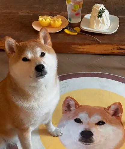 Custom Pet Portrait Carpet Collection