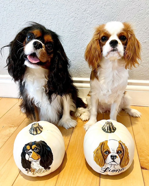 Custom Hand-Painted Pet Portrait Pumpkin, Personalized Dog & Cat Halloween Decor, Faux Pumpkin Pet Memorial & Fall Home Decoration