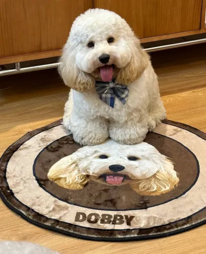 Custom Pet Portrait Carpet Collection