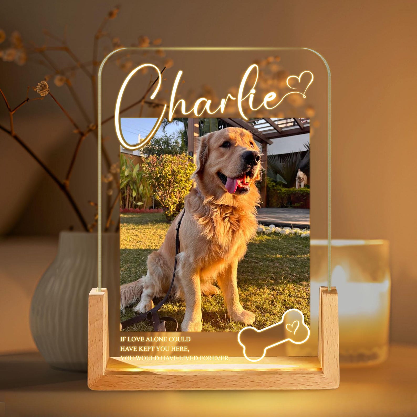 Personalized Pet Memorial LED Night Light, Custom Dog & Cat Photo Keepsake Sign, Pet Loss Remembrance Light Up Decor