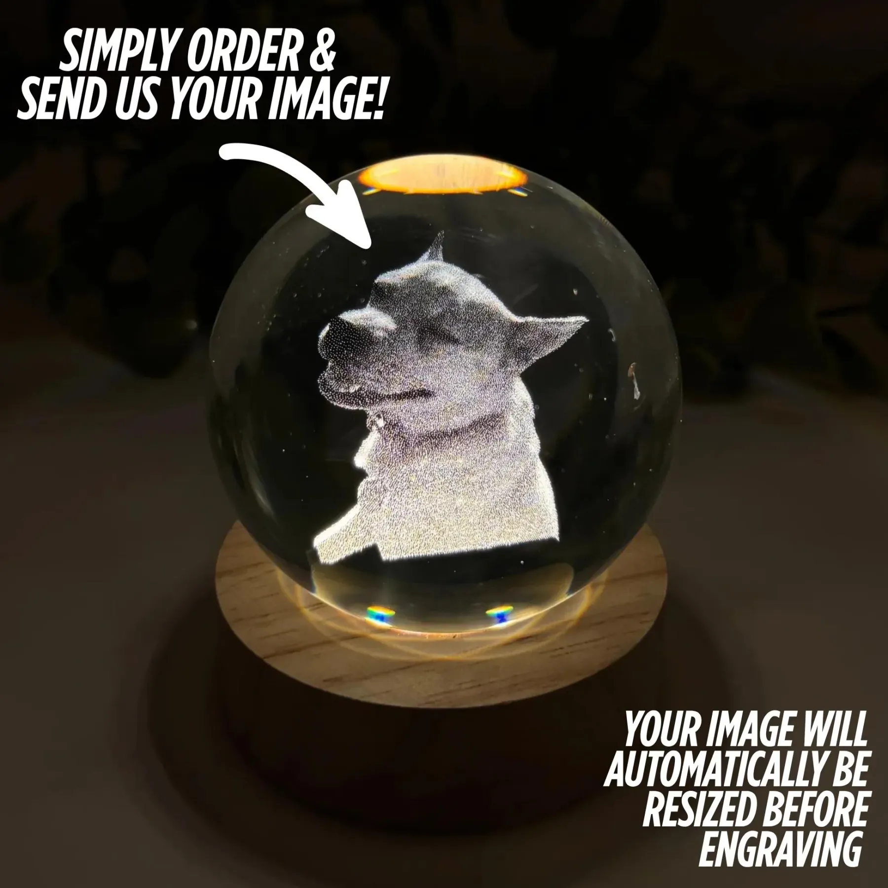 forlovever.com-Custom Pet Photo Sketch Style Christmas Crystal Ball