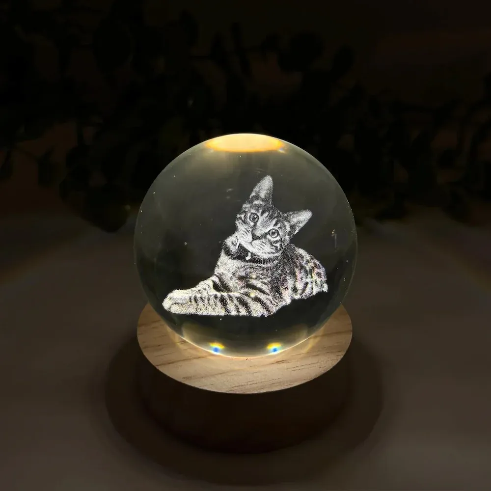 forlovever.com-Custom Pet Photo Sketch Style Christmas Crystal Ball
