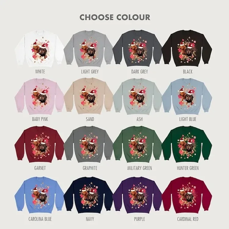Custom Pet Photo Print Christmas Sweatshirt, Hoodie, T-Shirt-forlovever