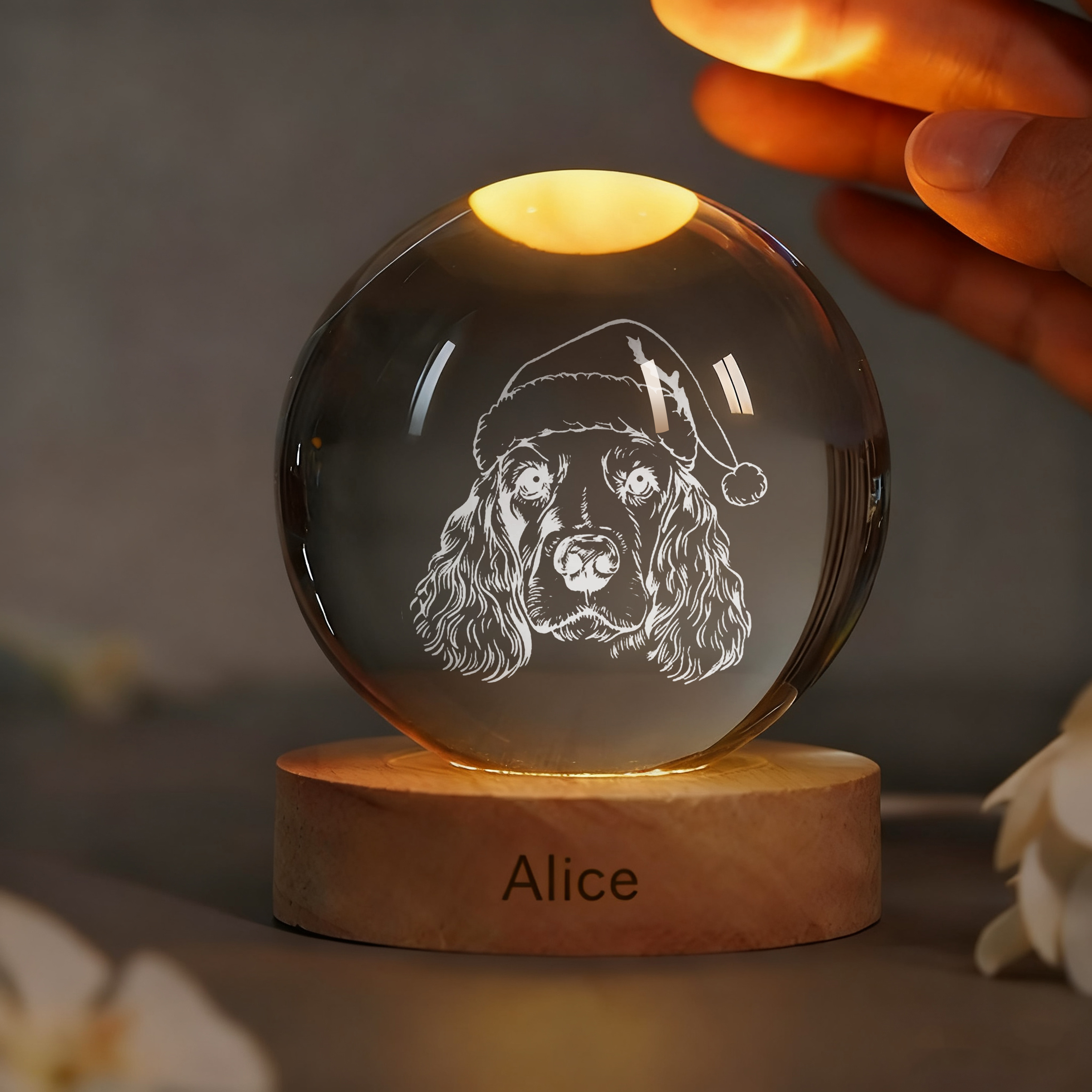 Custom Pet Photo Sketch Style Christmas Crystal Ball
