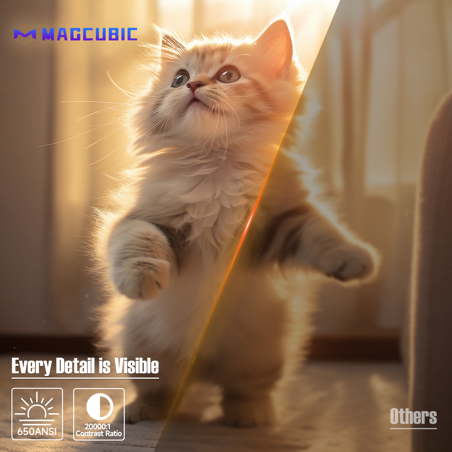 Every Detail is Visible 650ANSI/20000:1 Contrast Ratio