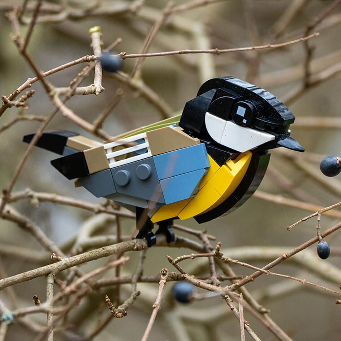 MOC-175635 Great Tit Building Blocks Set (162PCS)