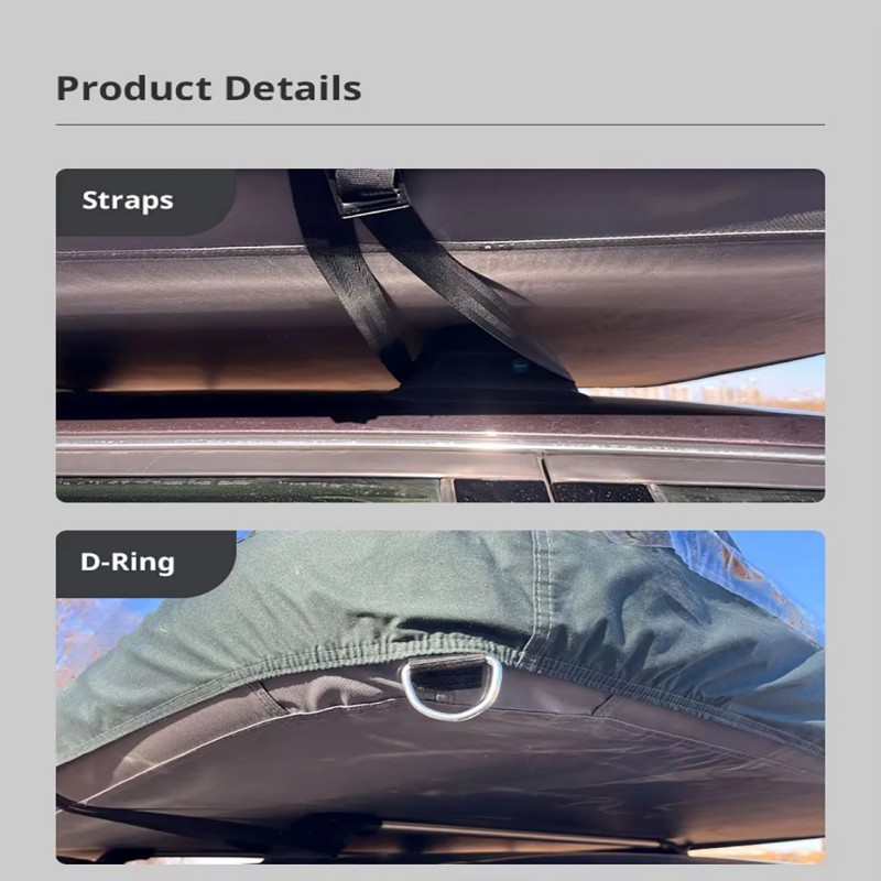 Starry Sky Island of Fish Roof Top Tent