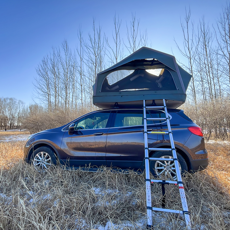 PlayDo Starry Sky Island of Fish Roof Top Tent
