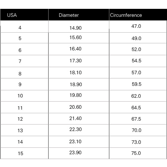 Punk Skull Men's 925 Silver Ring