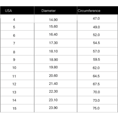 Punk Skull Men's 925 Silver Ring