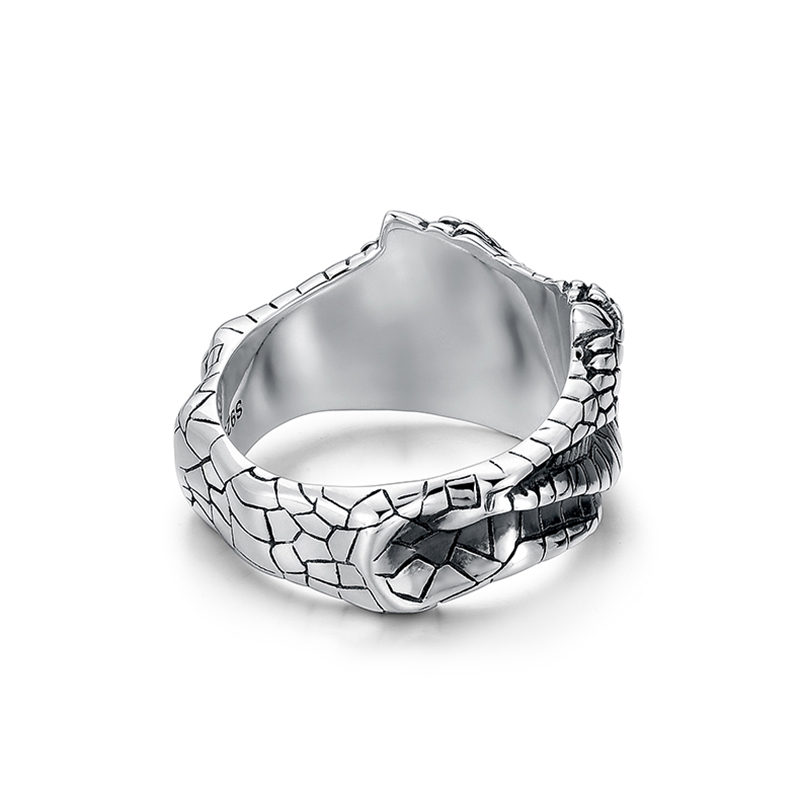 3D solid angle python ring