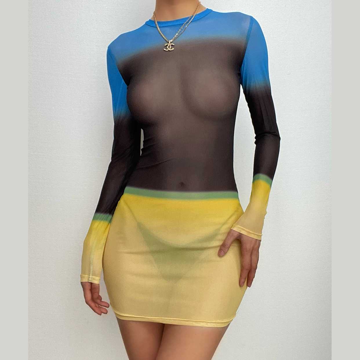 Contrast Sheer Mesh Colorblock Crew Neck Long Sleeve Mini Dress