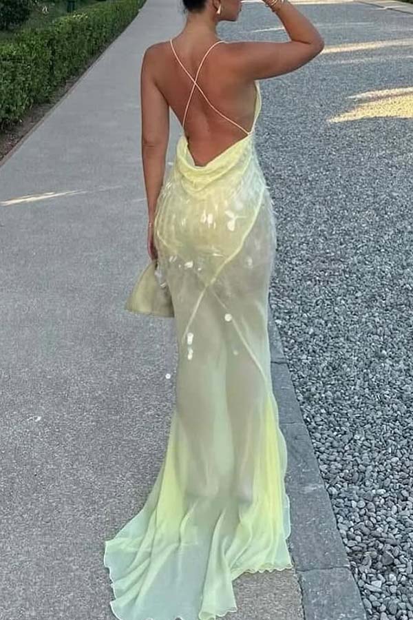 Perfect Night Sequin Embroidery Backless Drape Tulle Hem Slip Maxi Dress