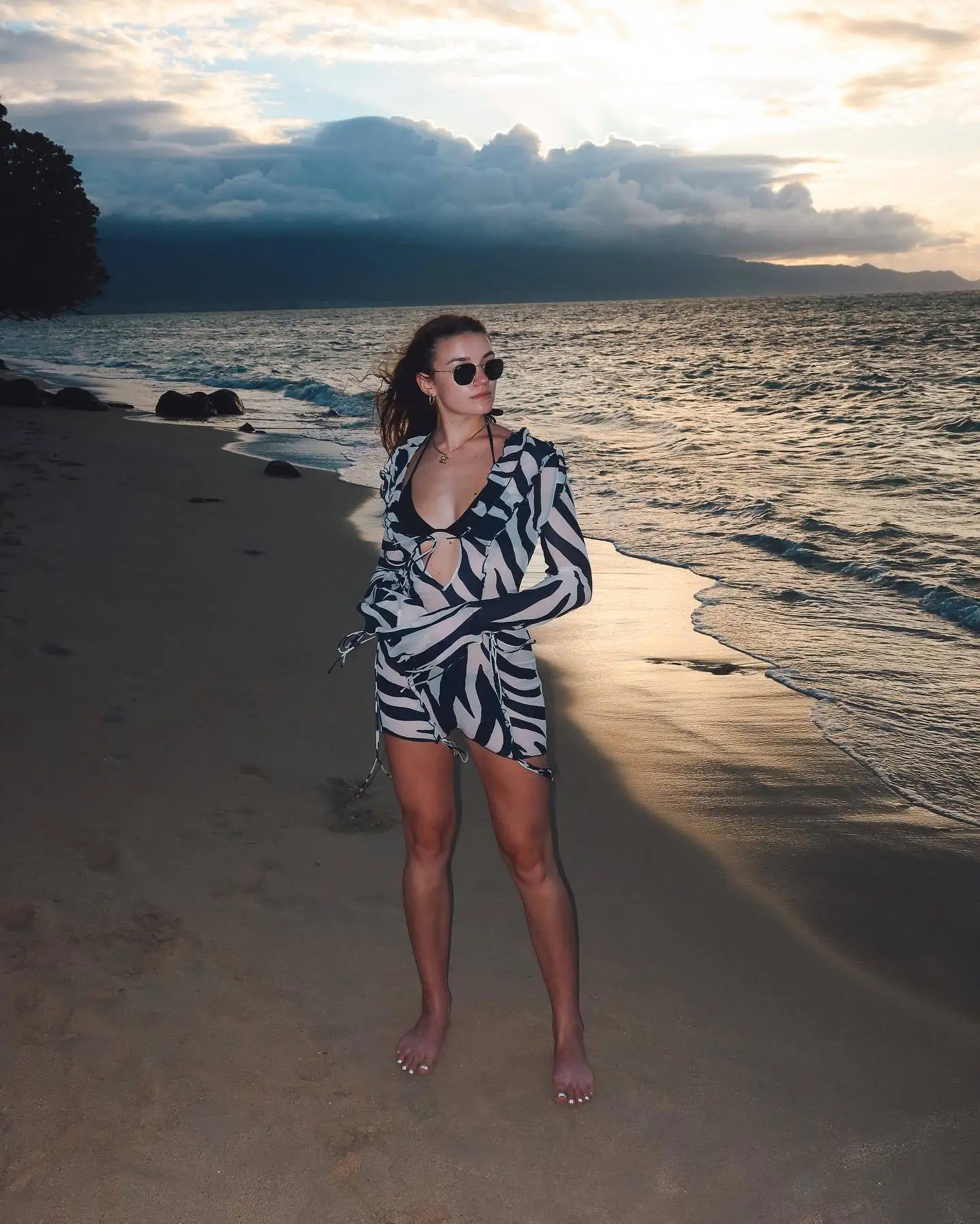 JULISSA MO Chiffon Sheer Bandage V-Neck Longsleeve Mini Dress For Women Sexy Zebra Print Slim See Through Beach Holiday Dresses