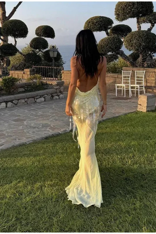 Plunge V Neck Spaghetti Strap Sheer Sequin Overlay Backless Maxi Dress