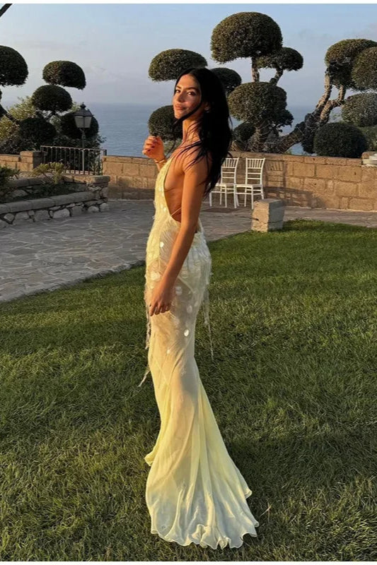 Plunge V Neck Spaghetti Strap Sheer Sequin Overlay Backless Maxi Dress