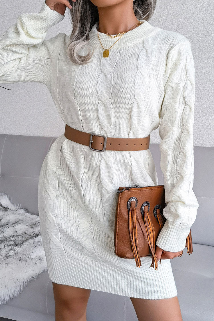 Cable Knit Crew Neck Long Sleeve Ribbed Bodycon Sweater Mini Dress