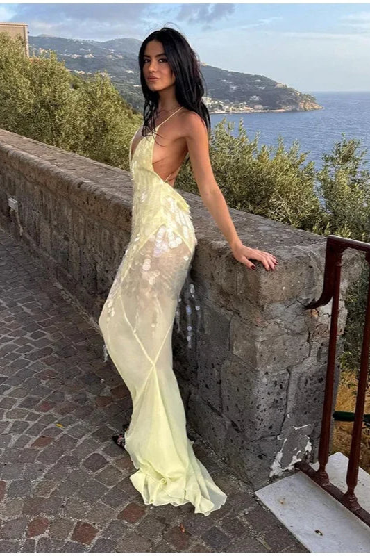 Plunge V Neck Spaghetti Strap Sheer Sequin Overlay Backless Maxi Dress