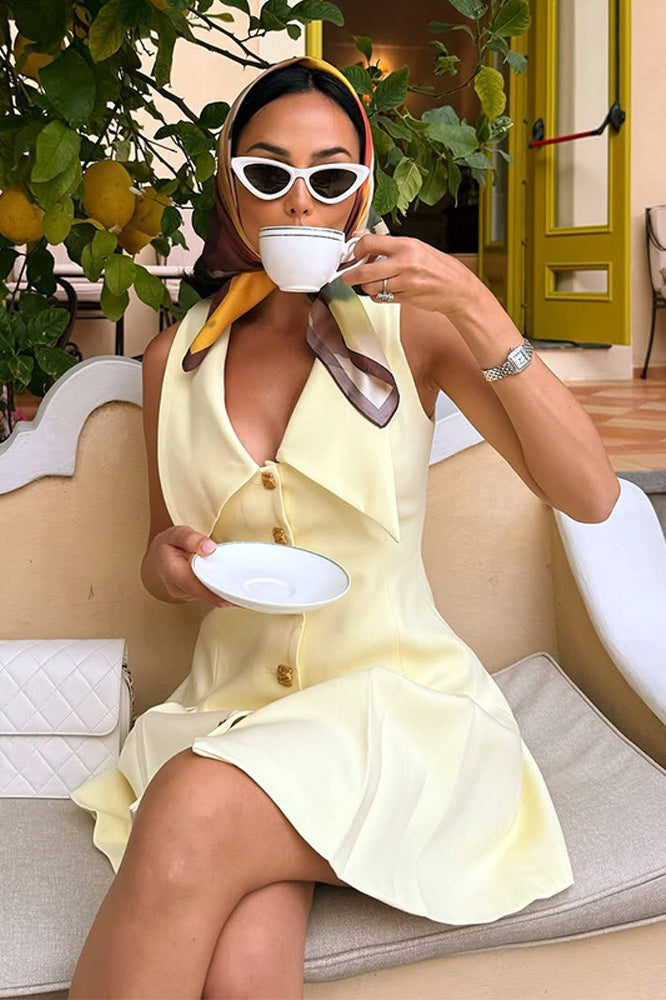 Sleeveless Oversized Pointed Lapel Button Front A-Line Mini Shirt Dress