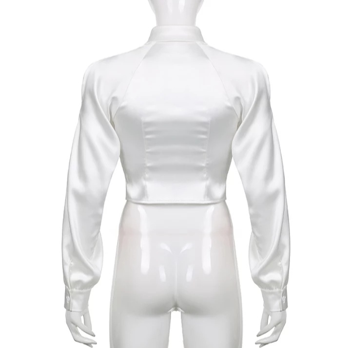 Cute White Silk Hollow Out Collar Cropped Top Long Sleeve Shirt Blouse Elegant Aesthetic Casual E-Girl Kawaii Korean Japanese Harajuku