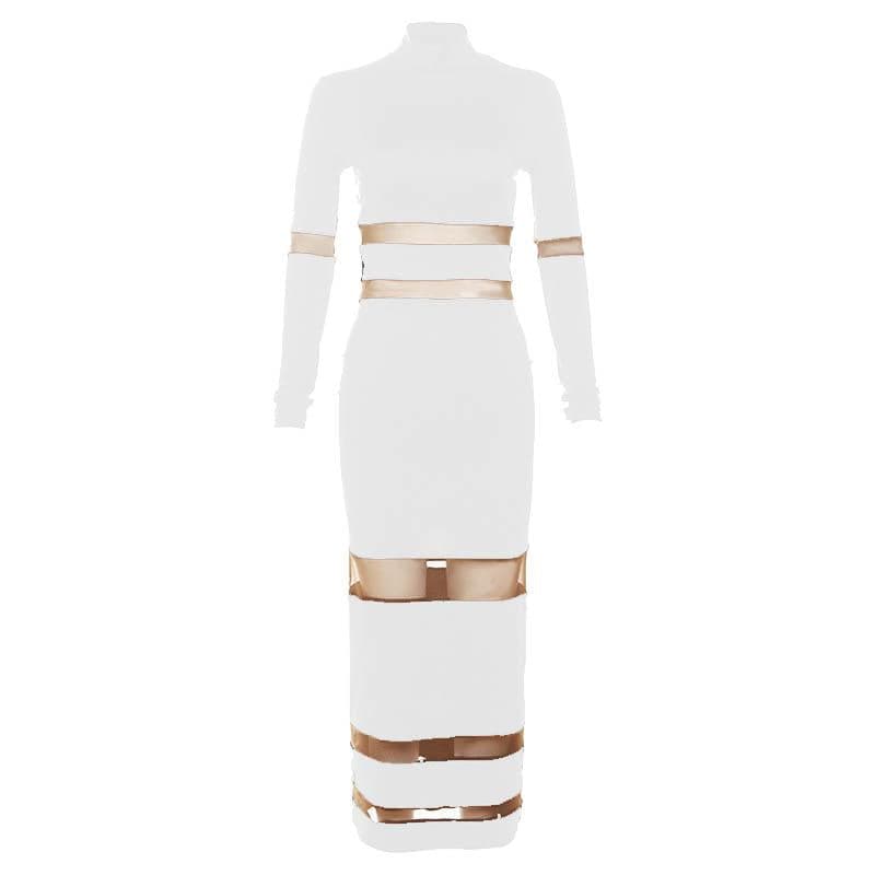 High Neck Mesh Panel Contrast Long Sleeve Bodycon Maxi Dress