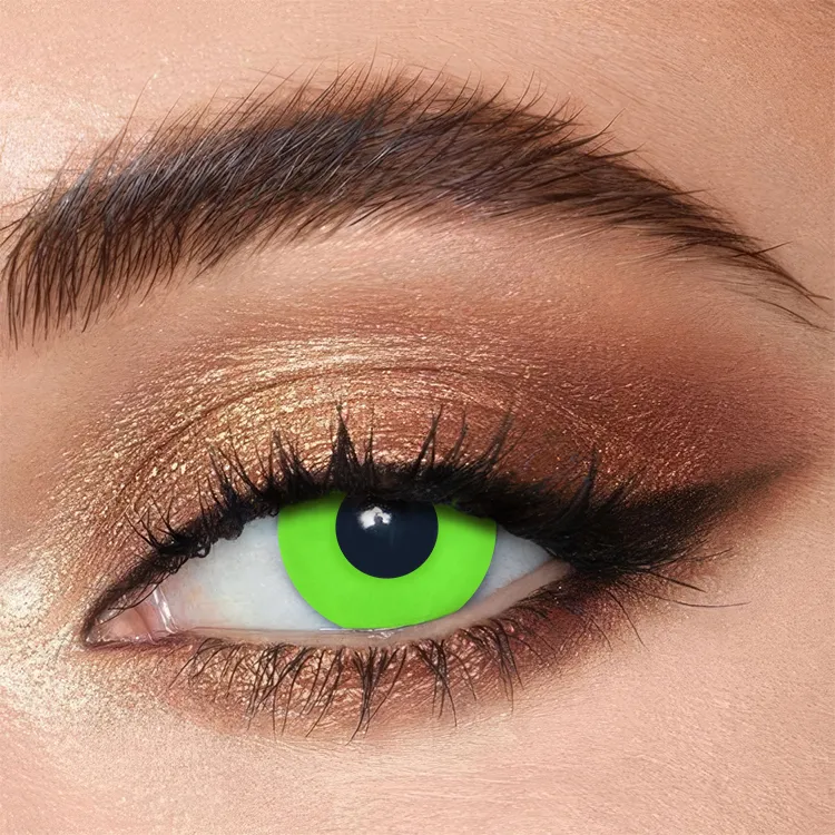 Circle Green | 1 Year (1 Piece)