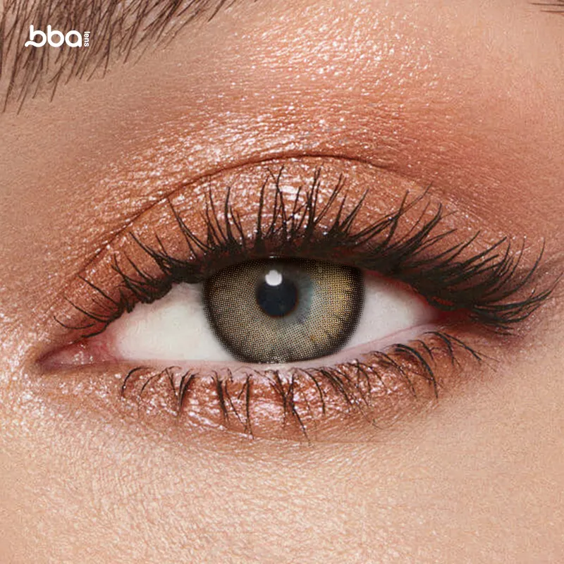 Luya Choco | 1 Year (1 Piece)