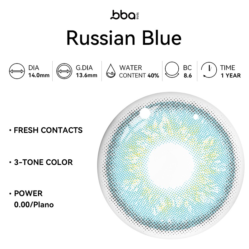 Russian Blue | 1 Year (1 Piece)