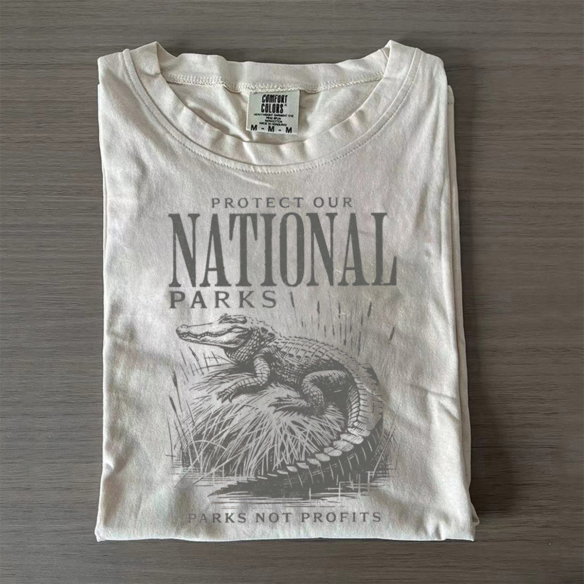 Vintage Protect Our National Parks T-shirt