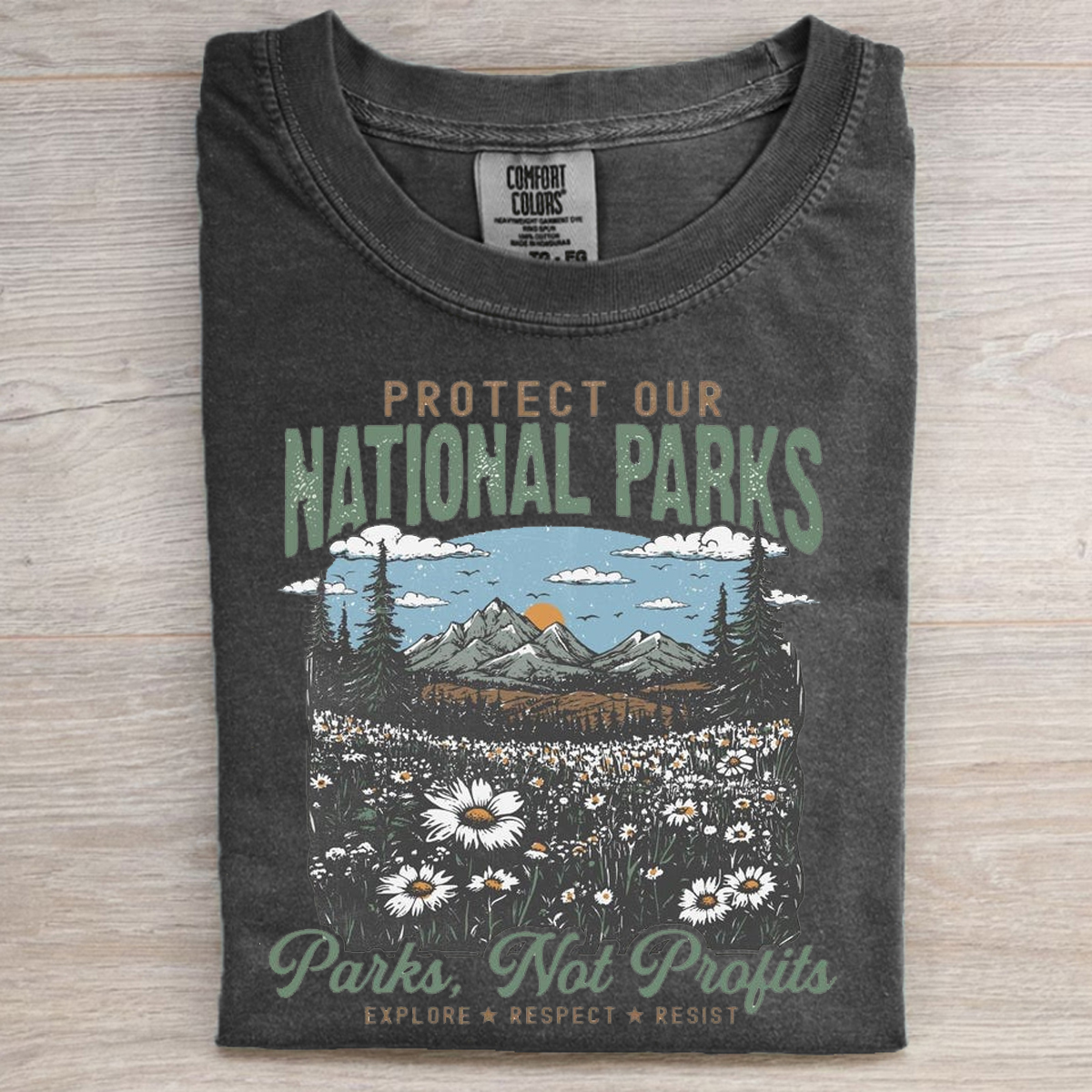 Protect Our National Parks T-shirt