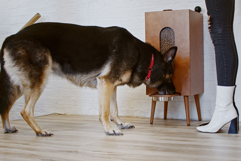 Houndsy Kibble Dispenser