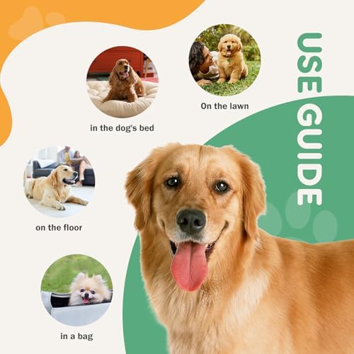 Puppy Pads, Regular Size 22"x22", 50 Count, Pee Pads for Dogs Potty Training, Ultra-Absorbent 6-Layer Leak-Proof, Quick-Dry Surface