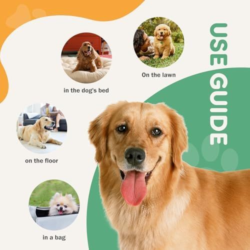 Puppy Pads, Regular Size 22"x22", 50 Count, Pee Pads for Dogs Potty Training, Ultra-Absorbent 6-Layer Leak-Proof, Quick-Dry Surface