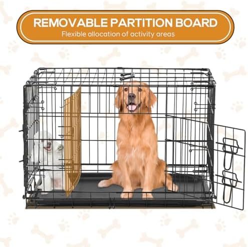 Dog Crate, 24 Inch Small Wire Kennel with Divider Panel, Metal Cages with Double Door, Leak-Proof Pan Tray, Folding Portable for Indoor Outdoor Travel