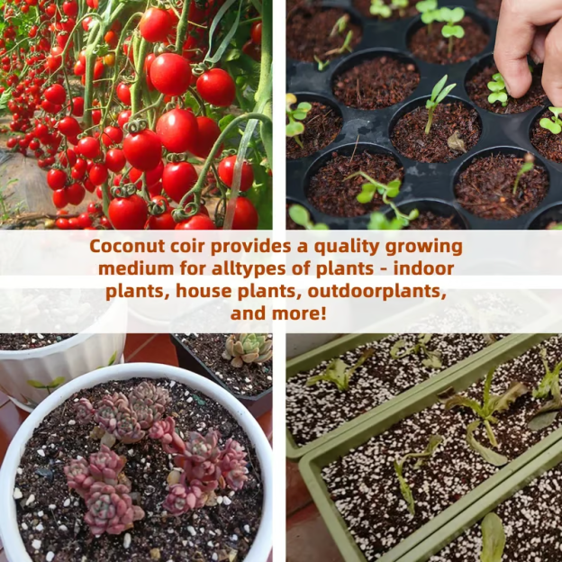 🌱The size of each pellet is: 25*15*8 cm. Weight 500 grams. When watered, it will expand to 5 kg.