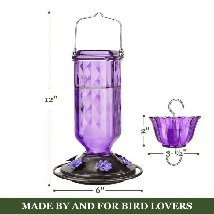 💥Glass Hummingbird Feeder