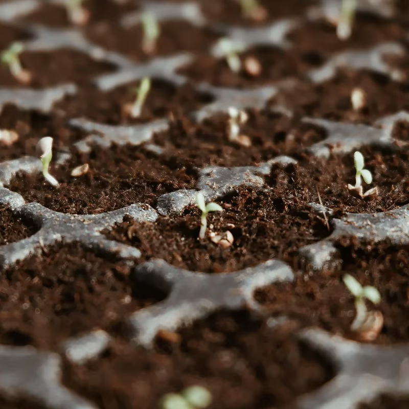 🌱The size of each pellet is: 25*15*8 cm. Weight 500 grams. When watered, it will expand to 5 kg.