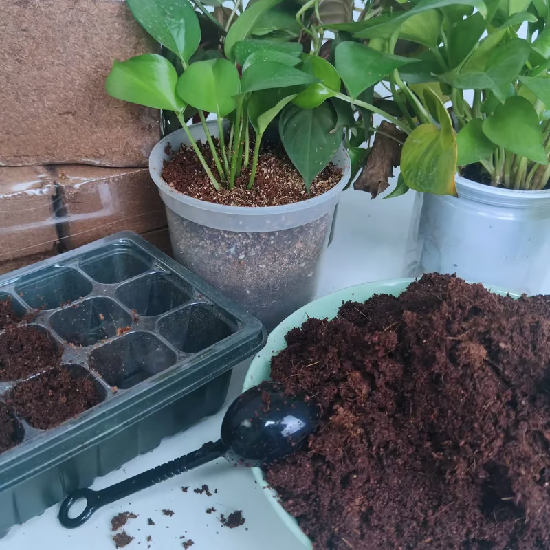 🌱The size of each pellet is: 25*15*8 cm. Weight 500 grams. When watered, it will expand to 5 kg.