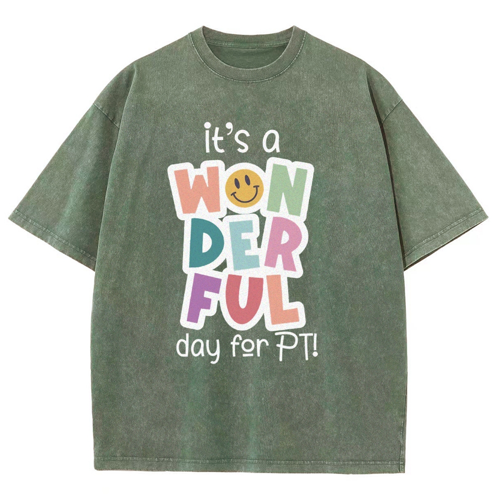 It’s A Wonderful Day For PT Unisex Fit Washed T-Shirt wearishow