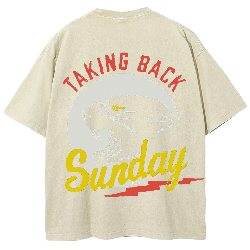 Unisex Vintage Washed Taking Back Sunday Band T-shirt