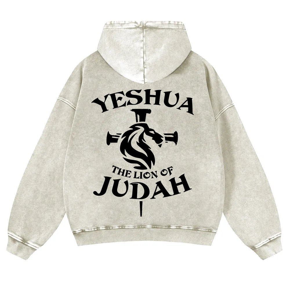 Yeshua Washed Hoodie wearishow