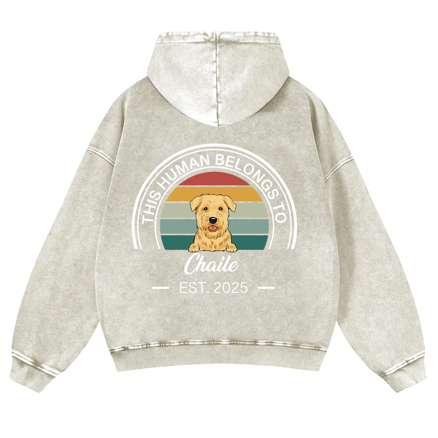This Human Belongs To 3 - Personalized Custom Unisex Washed Hoodie